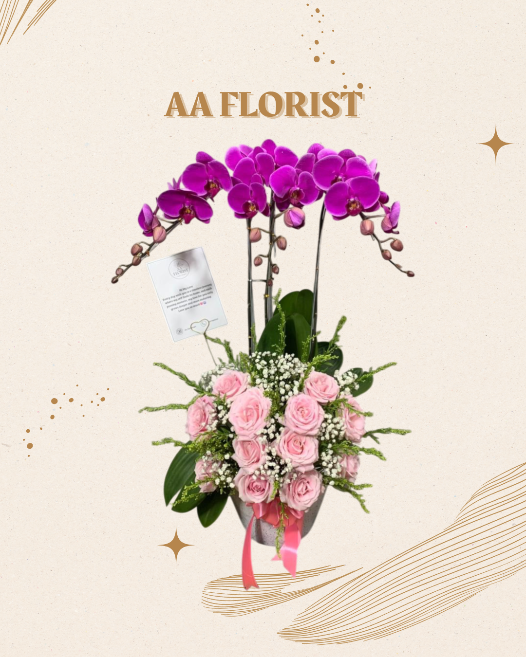 Anggrek bulan 3 stem