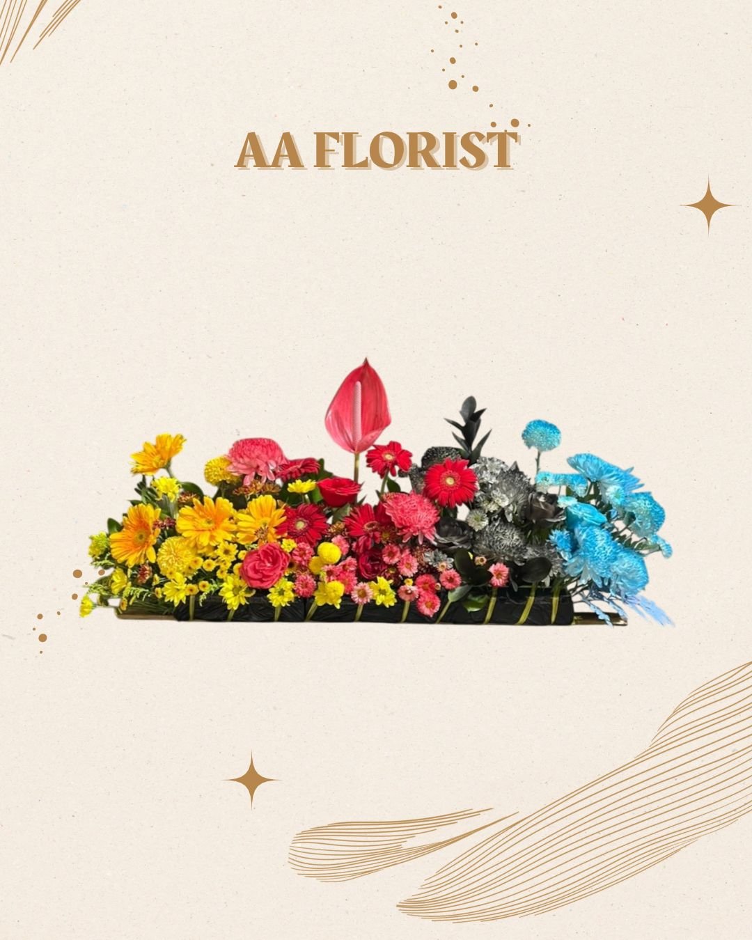 AA Signature Spectrum Runner - Size L